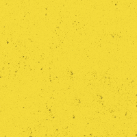 SVLeibenstadt1946 svl 1946 gelbschwarz dorfverein GIF