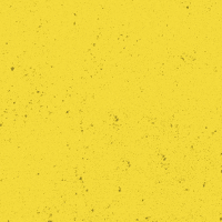 SVLeibenstadt1946 svl 1946 gelbschwarz dorfverein GIF