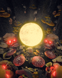 Moon Forest GIF by davidvnun