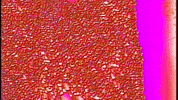 Video Art GIF by cskonopka