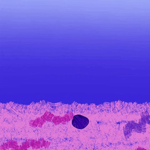 Hallvaror_  GIF