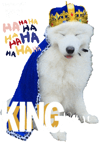 King Royals Sticker