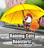 Shelter Commute GIF by Zorooster
