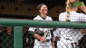 north dakota state bison GIF by NDSU Athletics