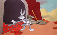 trump wall GIF
