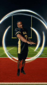 Atlanta Falcons Football GIF by Bijan Mustardson