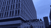 halloween bat GIF by Concordia University Future Students