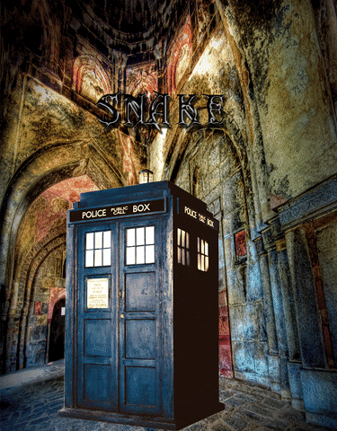 tardis GIF