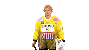 Hockey Ice Sticker by Vienna Capitals