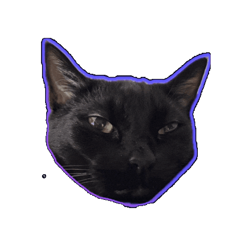 Whatever You Say Wtf Sticker by Rod Kim