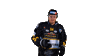 Hockey Look Sticker by HC Pustertal Wolves