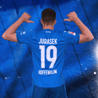 Sport Bundesliga GIF by TSG Hoffenheim