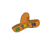 Selecao Brasileira Sticker by Confederação Brasileira de Futebol