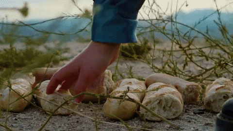 Let Go Food GIF by Claud