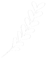 Branch Leaf White Paperboe Sticker