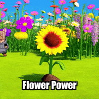 Flower Power Growth GIF by Chillo Dillo