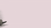 Easter Bunny GIF