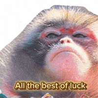 Fun Good Luck GIF
