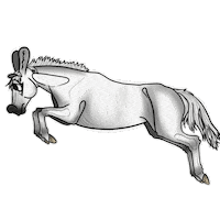 Horse Sticker