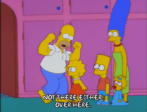 homer simpson episode 23 GIF