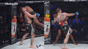 GIF by Bellator