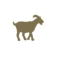 LediBelle nature gold swiss kosmetik Sticker