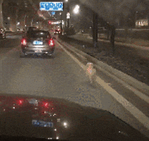 f65d48f8ce3f4c25bbd82f336ce3a5bf giphyupload GIF
