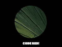 season 5 new digs GIF by SpongeBob SquarePants