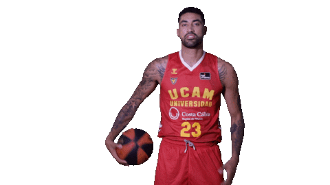 Liga Endesa Basketball Sticker by ACB