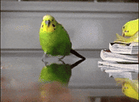 Women Run GIF
