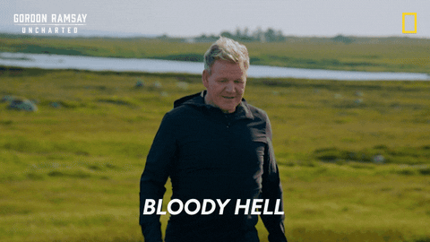 Gordon Ramsay Disney Plus GIF by National Geographic TV
