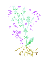 Flower Stars Sticker
