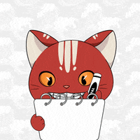 Happy Cat GIF by Kitaro World