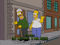 homer simpson GIF