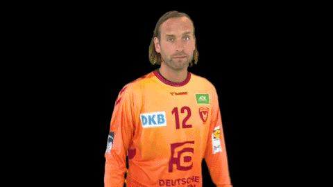 LIQUIMOLY_HBL giphyupload handball berlin hallo GIF