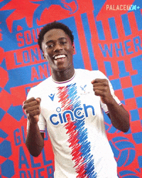 Lets Go Win GIF by CPFC