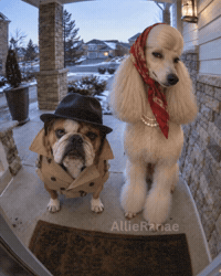 Awkward Excuse Me GIF