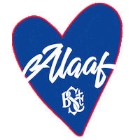 Bonn Sticker by BSTC