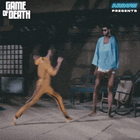 Martial Arts Film GIF by Arrow Video