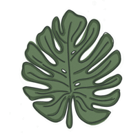 Plants Monstera Sticker by Samantha At TwentyFirstCo