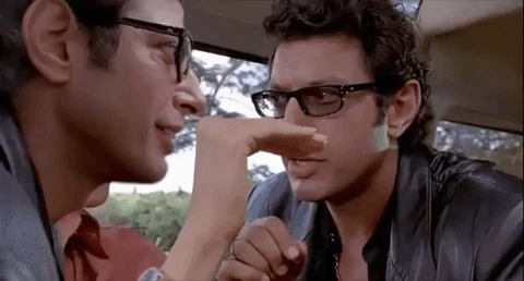 jeff goldblum yes GIF by agconti