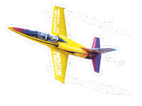 Airshow Sticker by GuerreroTravel