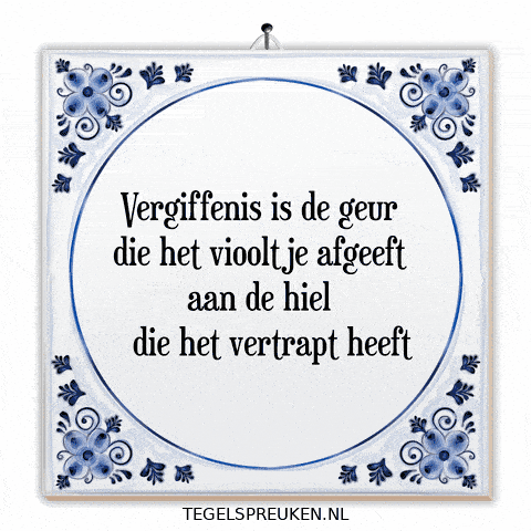 Humor Nl GIF by Tegelspreuken.nl
