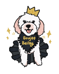 Bailey Sticker