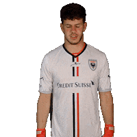 FCAarau fcaarau ammeter nicholasammeter Sticker