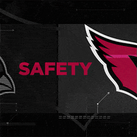 Football Nfl GIF by Arizona Cardinals