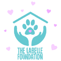 Adoption Adopt Sticker by Pollen
