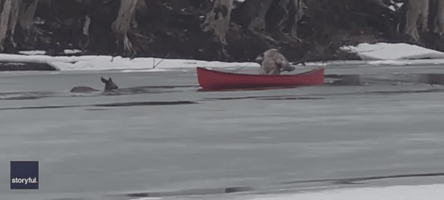 Canadian Man Rescues Deer 