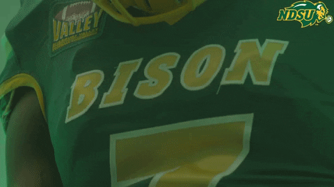 North Dakota State Scream GIF by NDSU Athletics