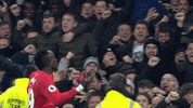 lfc GIF by Liverpool FC